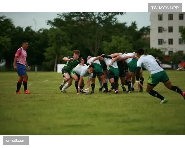 欧洲依托英式橄榄球文化根基：六国锦标赛构建稳定受众基础